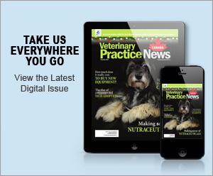 Take us everywhere you go - View the latest digital issue