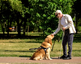 
    Canada announces new national dog guide training school
    