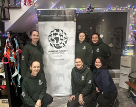 
    Toy drive spreads holiday joy to rescued dogs
    