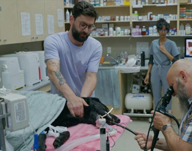 
    New Canadian docuseries explores bizarre pet emergencies 
    