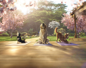 
    New once-daily treatment breaks the canine itch-scratch cycle
    