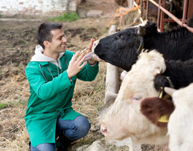 
    Canada, Saskatchewan back livestock research
    