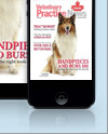 Veterinary Practice News Canada | View the latest Digital Edition issue