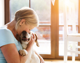 
    Grab the Leash! Pets Top the List as Canadians Flee Disaster
    