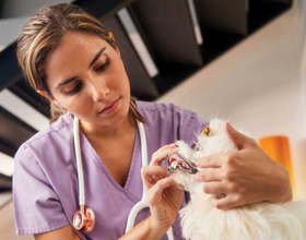 Maximize Your Dental Bucks:  Why Sharp Dental Tools Boost Your Practice’s ROI?