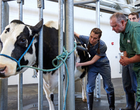 First Northern Cohort Launches at OVC to Bring Veterinary Care Home
