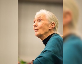 Jane Goodall passes away at 91
