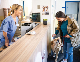 6 ways to personalize client experiences?