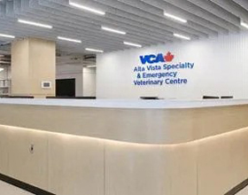 New specialty and emergency veterinary centre opens in Ottawa