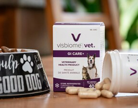 Visbiome Vet GI Care+ now available to Canadian pet owners