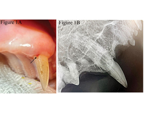 What’s all the chatter about??