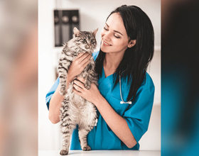 Cat coronavirus study reveals clues to long COVID