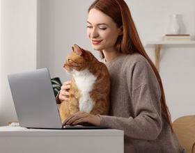 How cat parents are driving veterinary innovation?