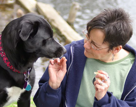 Non-profit foster pet care launched in B.C.