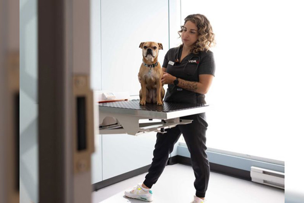 VCA Canada earns spot on Alberta’s Top Employers 2026 list