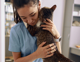 Proudly partnering with vets & pets across Canada