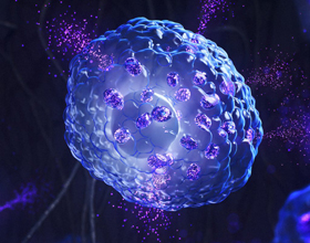 New IDEXX tools target earlier canine cancer detection