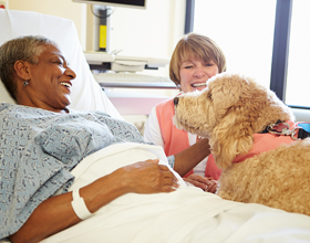 Therapy dogs show measurable benefits for hospitalized adults
