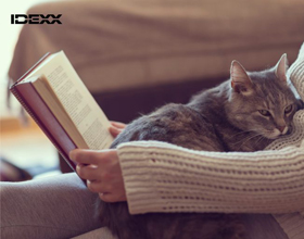 New study finds renal diet slows CKD progression in cats