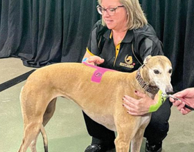 Kinesiology taping–does it work? If so, how??