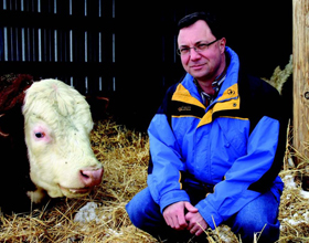 Sask. vet recognized as bovine veterinarian of the year