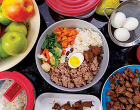 The fresh pet food movement?