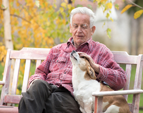 Can pets help seniors live longer? New Canadian study investigates