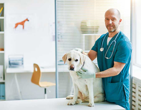 Industry partnership aims to strengthen protection for clinics