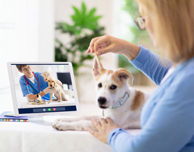 Recent collaboration bolsters veterinary telemedicine