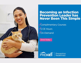 Your Journey to Becoming an Infection Prevention Leader Starts Here