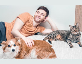 New online hub aims to address barriers to pet adoption