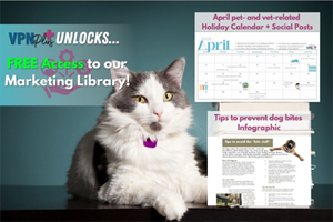 Exclusive marketing resources for VPN Plus+ members