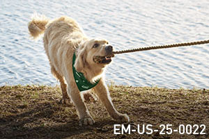 A Modern Approach to Parasite Prevention