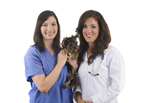 New AAHA guidelines emphasize care through One Health