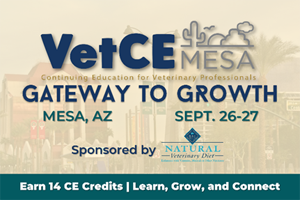 Escape the end-of-summer slump at VetCE Mesa
