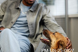 Fast Itch Relief for Canine Patients