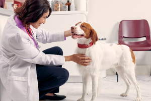 Take Control With ProHeart 12 (moxidectin)