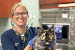 Cats get a paw up on heart disease