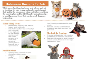 Infographic: ID and prevent Halloween hazards