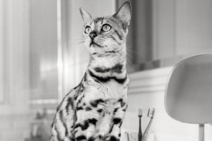 Dilution Is the Solution