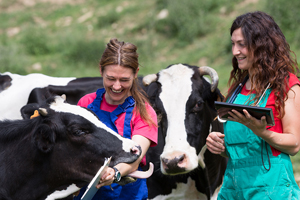 New Mexico offers livestock veterinarians loan repayment program