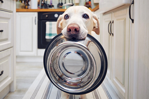 Is your parasite protocol missing something?