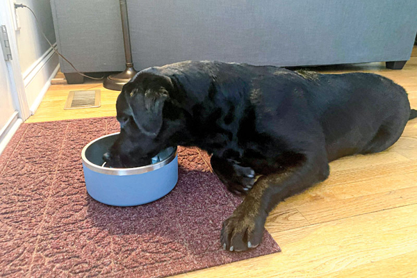 The science of appetite