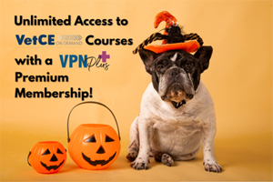 Get unlimited access to VetCE courses with VPN Plus+