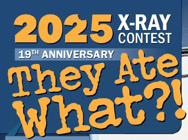 Are you ready to see some crazy stuff?