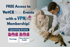Unlock free VetCE Virtual Events with VPN Plus+