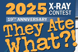 Check out this year’s top entries! 