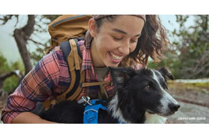 Year-Round Tick Control is Important