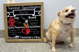 9 ways to create moments of caring