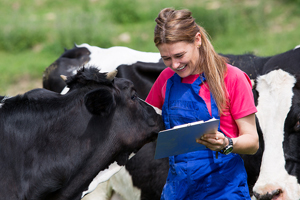 UC Davis launches revamped portal to support data-driven animal health decisions